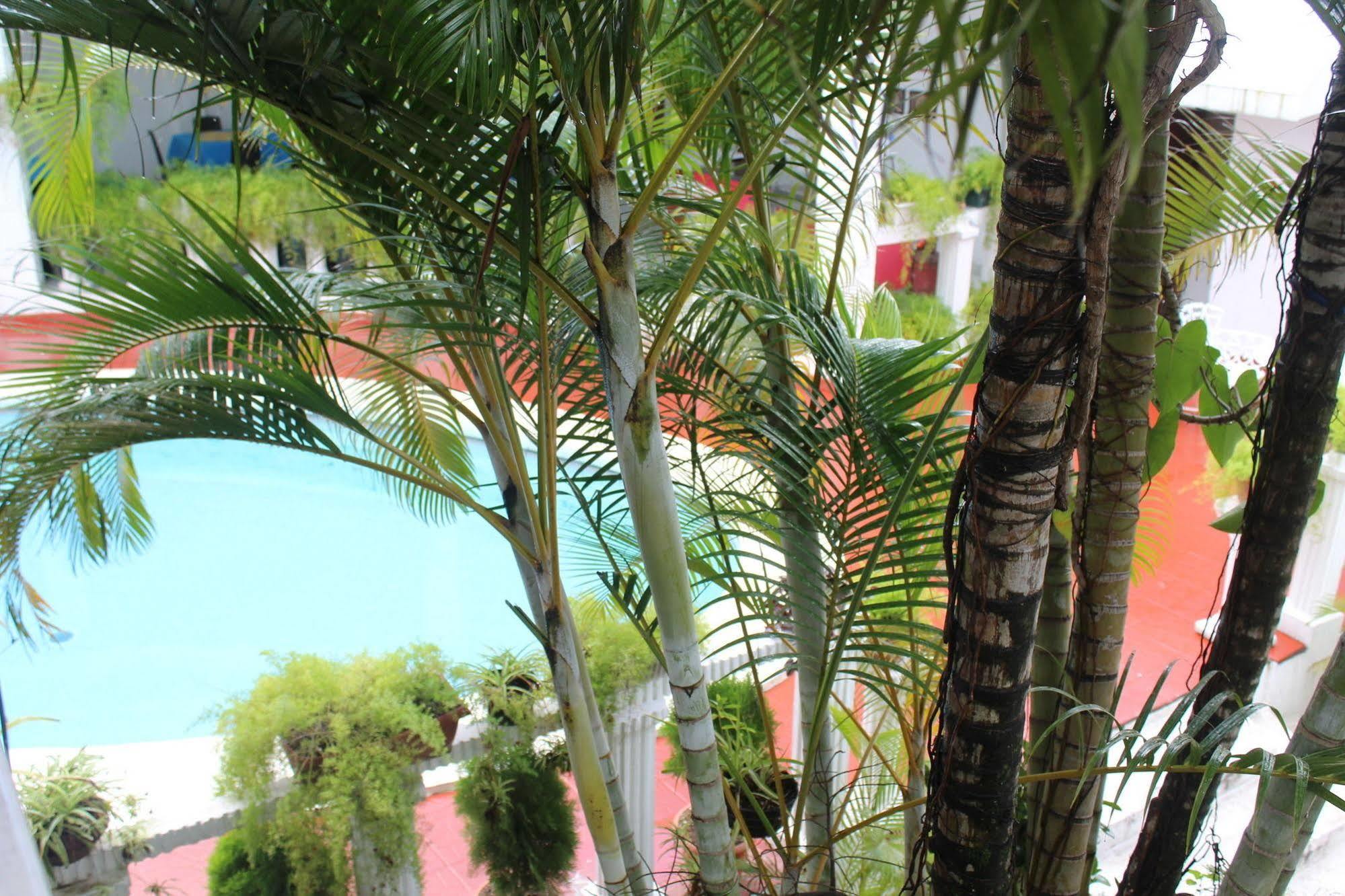 Hotel Grecia Real San Salvador Buitenkant foto